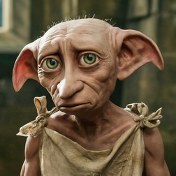 Profile photo of Dobby