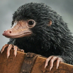 Profile photo of Niffler