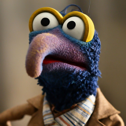 Profile photo of Gonzo