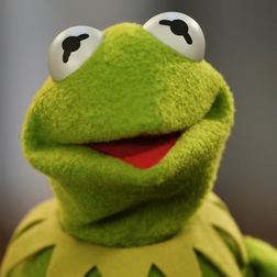 Profile photo of Kermit the Frog