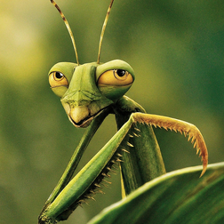 Profile photo of Mantis