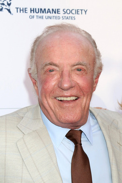 Profile photo of James Caan