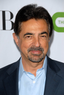 Profile photo of Joe Mantegna