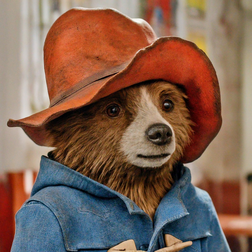 Profile photo of Paddington Bear