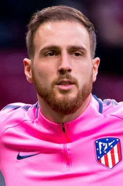 Profile photo of Jan Oblak