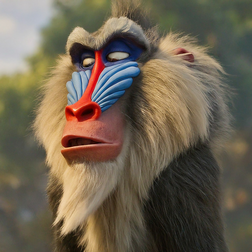 Profile photo of Rafiki