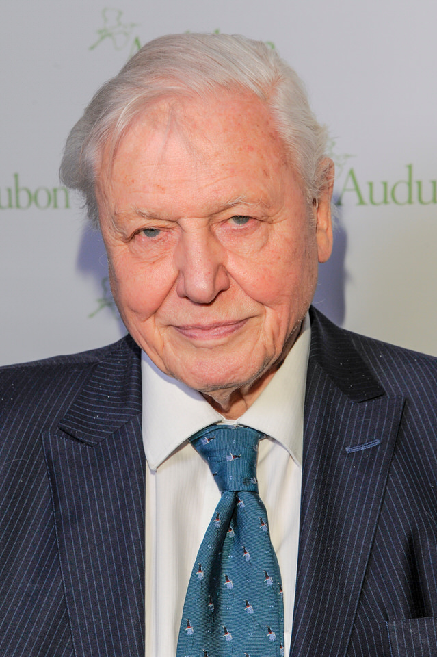 Profile photo of David Attenborough