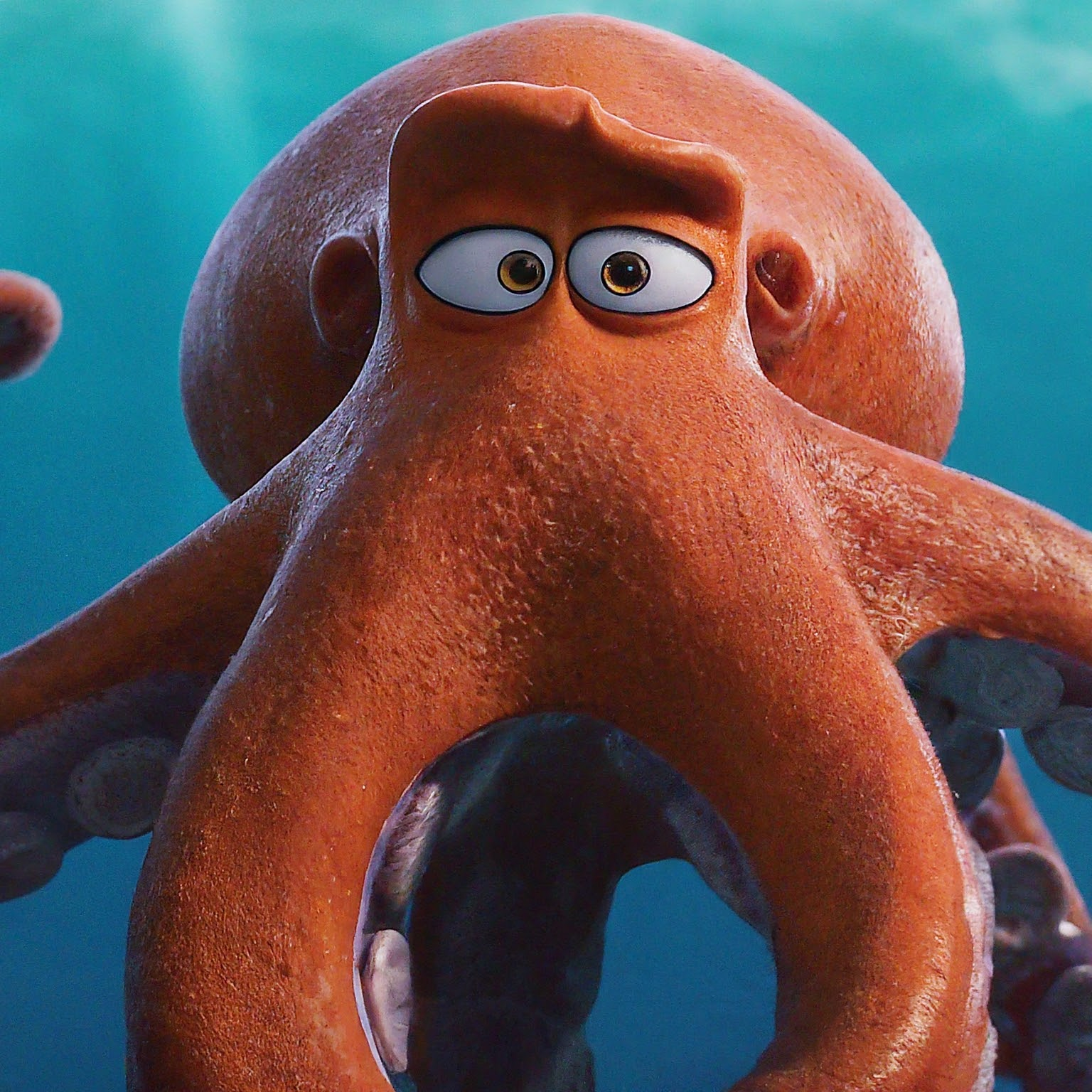 Profile photo of Dave the Octopus