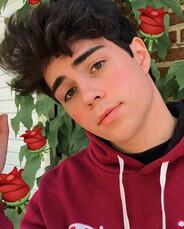 Profile photo of Benji Krol