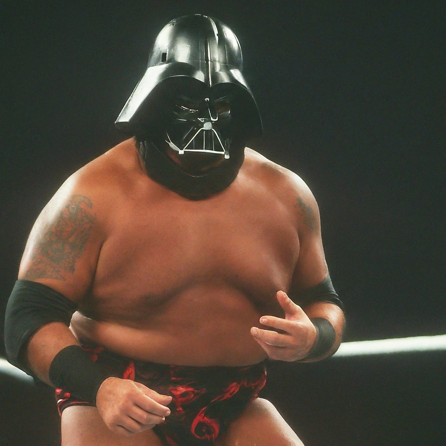 Profile photo of Big Van Vader