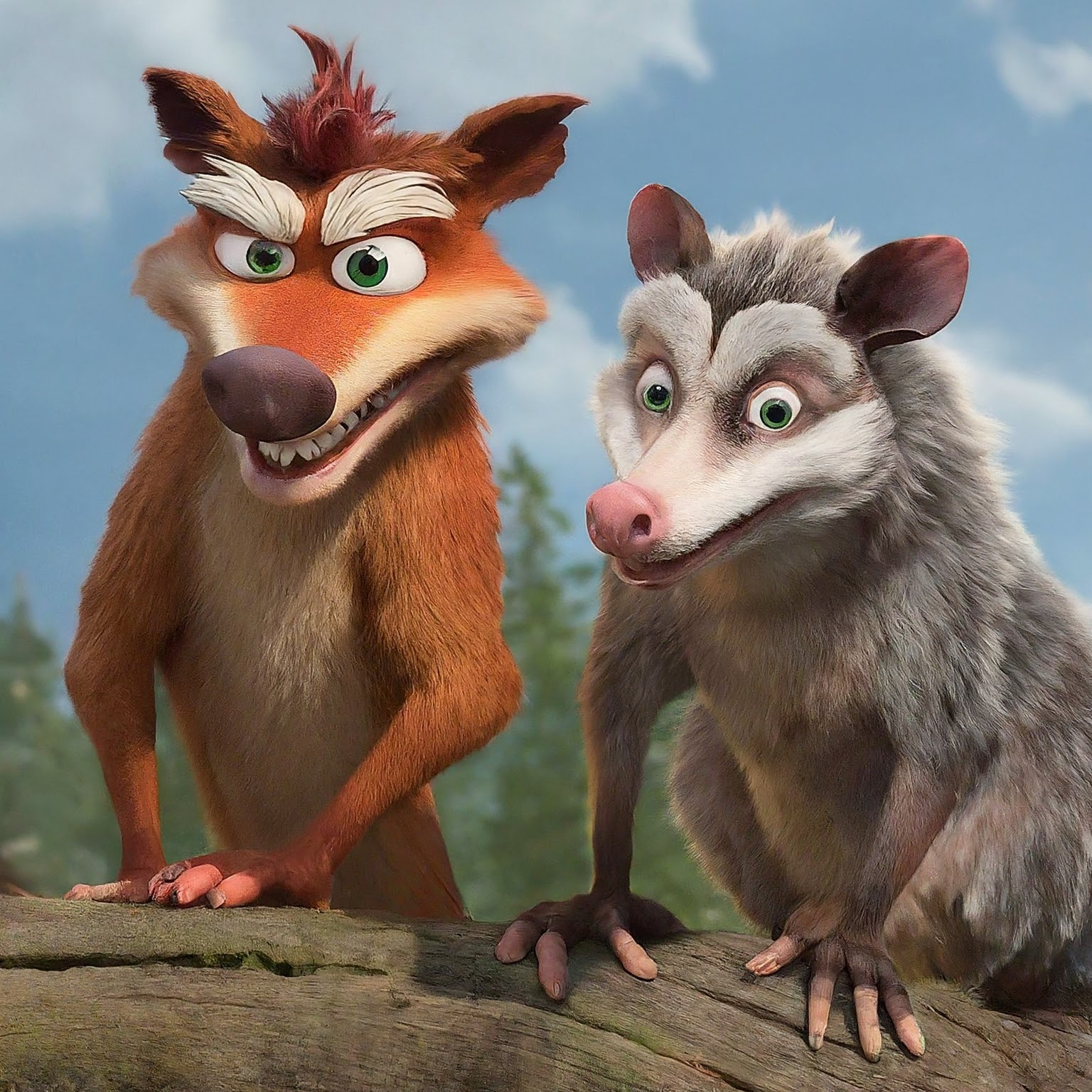 Profile photo of Crash and Eddie the Opossums