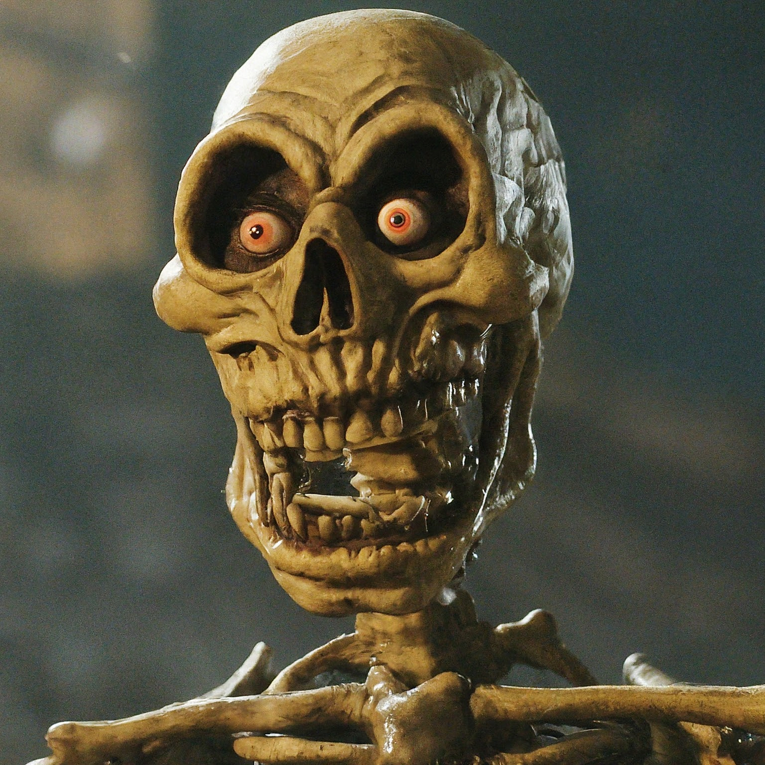 Profile photo of Curly the Skeleton