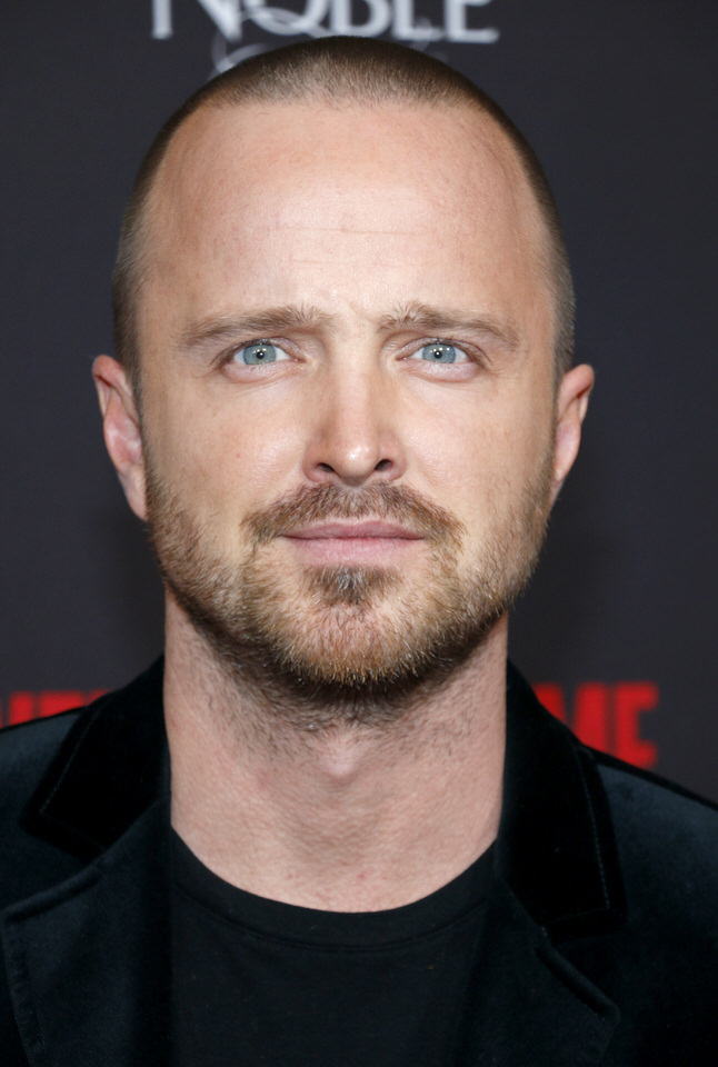 Profile photo of Aaron Paul