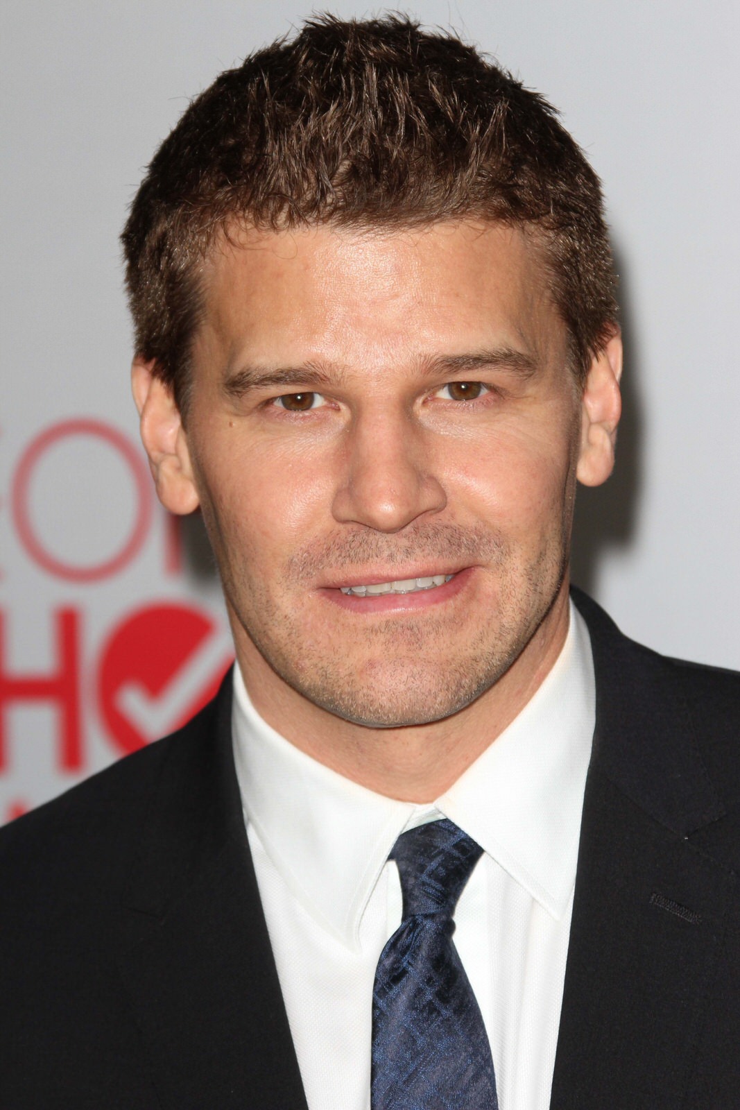 Profile photo of David Boreanaz