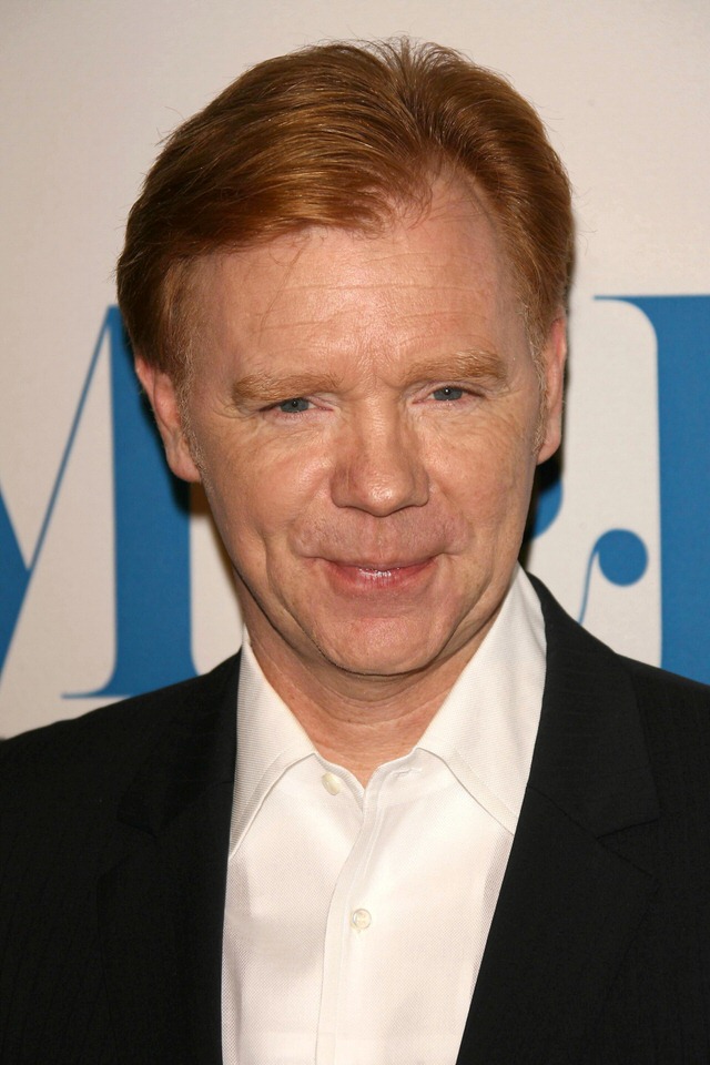 Profile photo of David Caruso