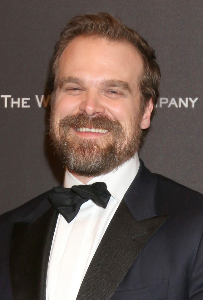 Profile photo of David Harbour