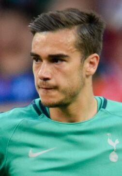 Profile photo of Harry Winks