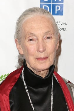 Profile photo of Jane Goodall