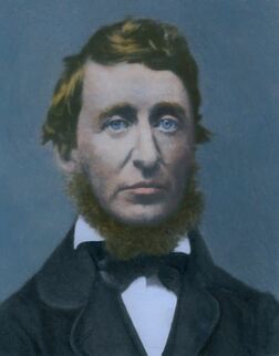 Profile photo of Henry David Thoreau