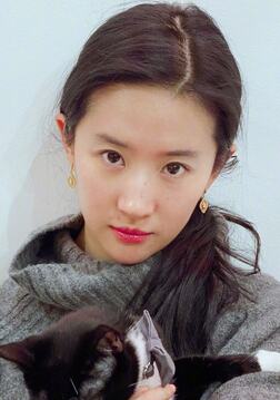 Profile photo of Liu Yifei