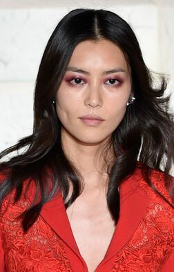 Profile photo of Liu Wen