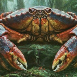 Profile photo of Giant Crab