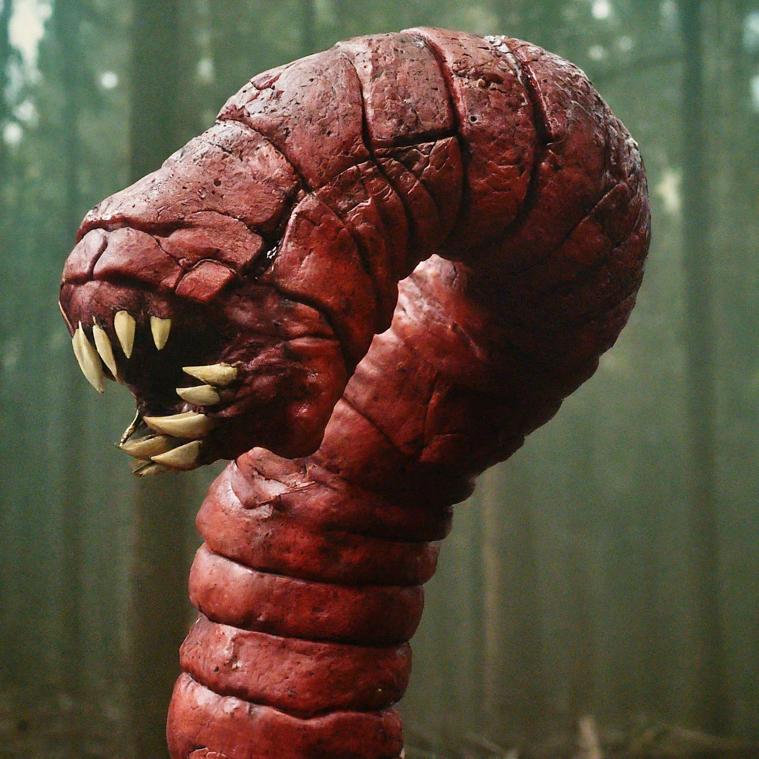 Profile photo of Conqueror Worm